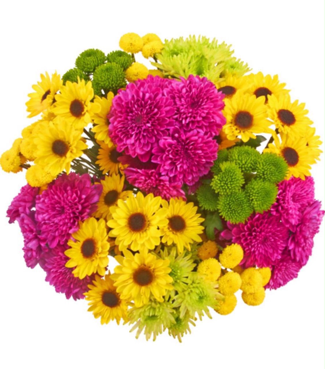 Bright & Cheerful Fresh Daisy & Pom Bouquet